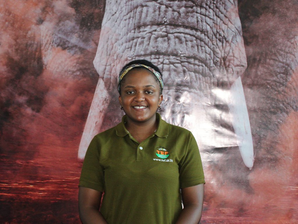 Our Team Tanzanian Elephant Foundation